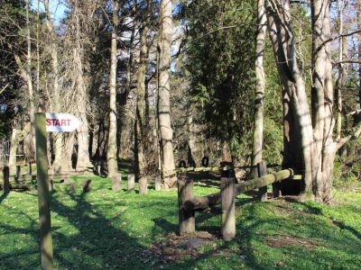 Confidence Course Starts Here